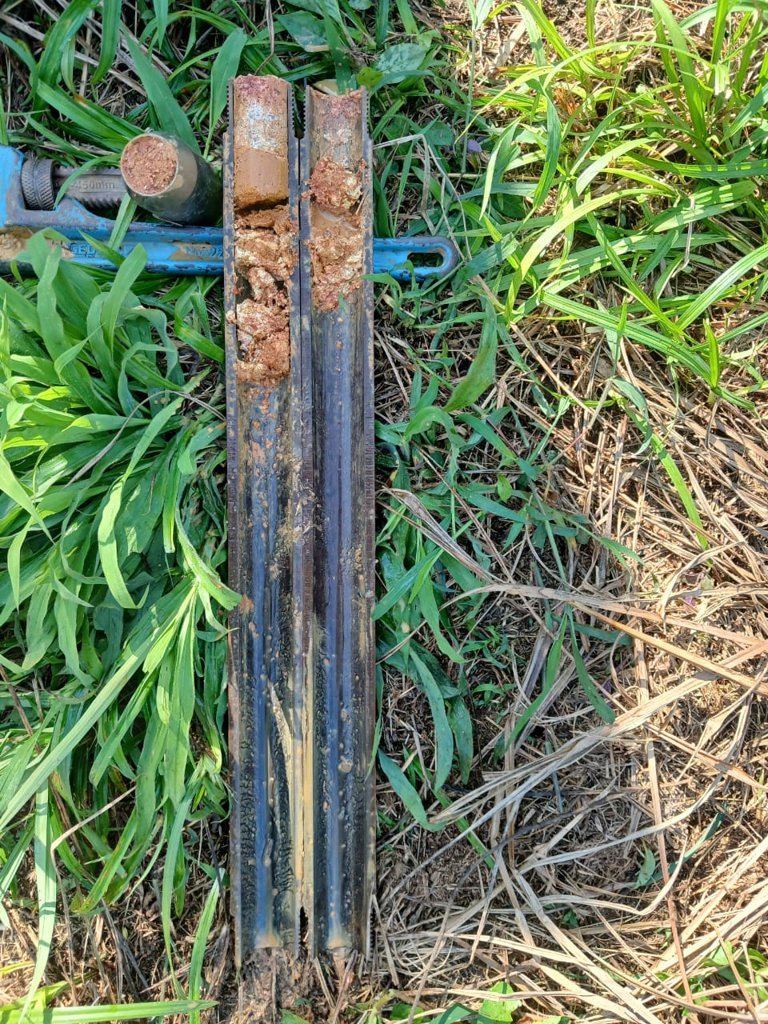 Amostrador padrão do SPT aberto com a amostra, em sondagem da NEV Geotecnia em Jaraguá do Sul (SC), ago/2026